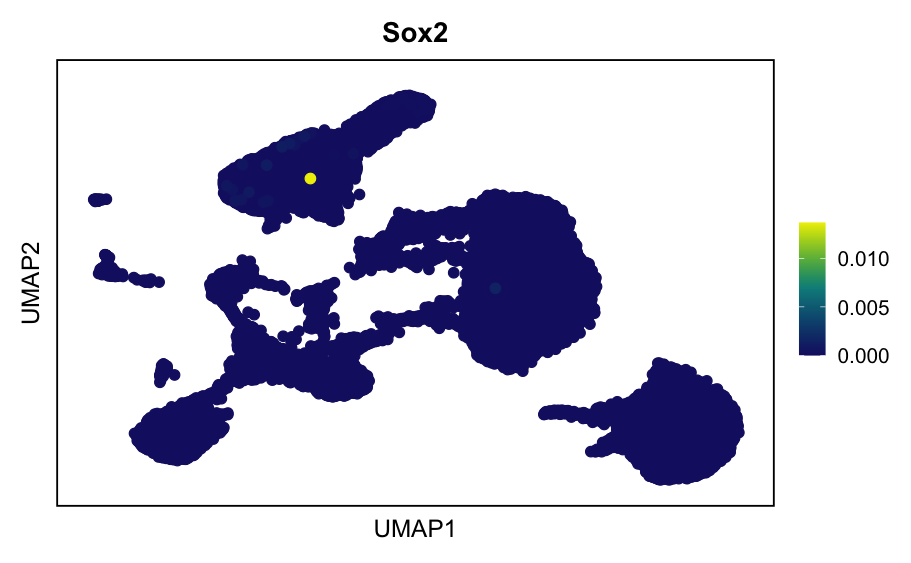 UMAP expression plot of Sox2