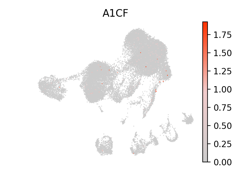 UMAP expression plot of SOX9