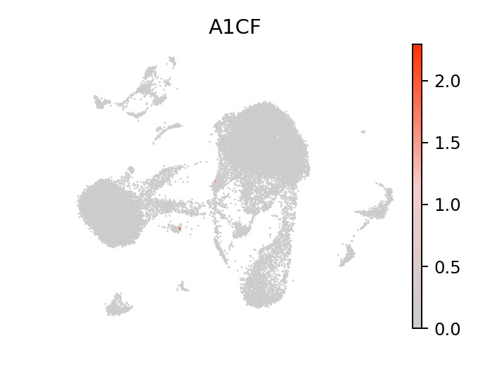 UMAP expression plot of SOX9