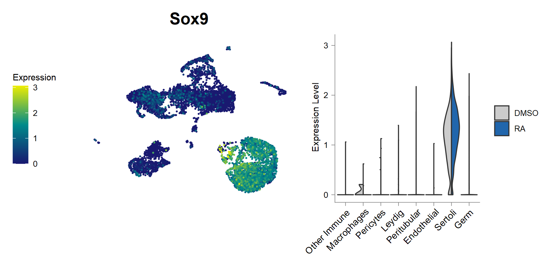 UMAP expression plot of SOX9