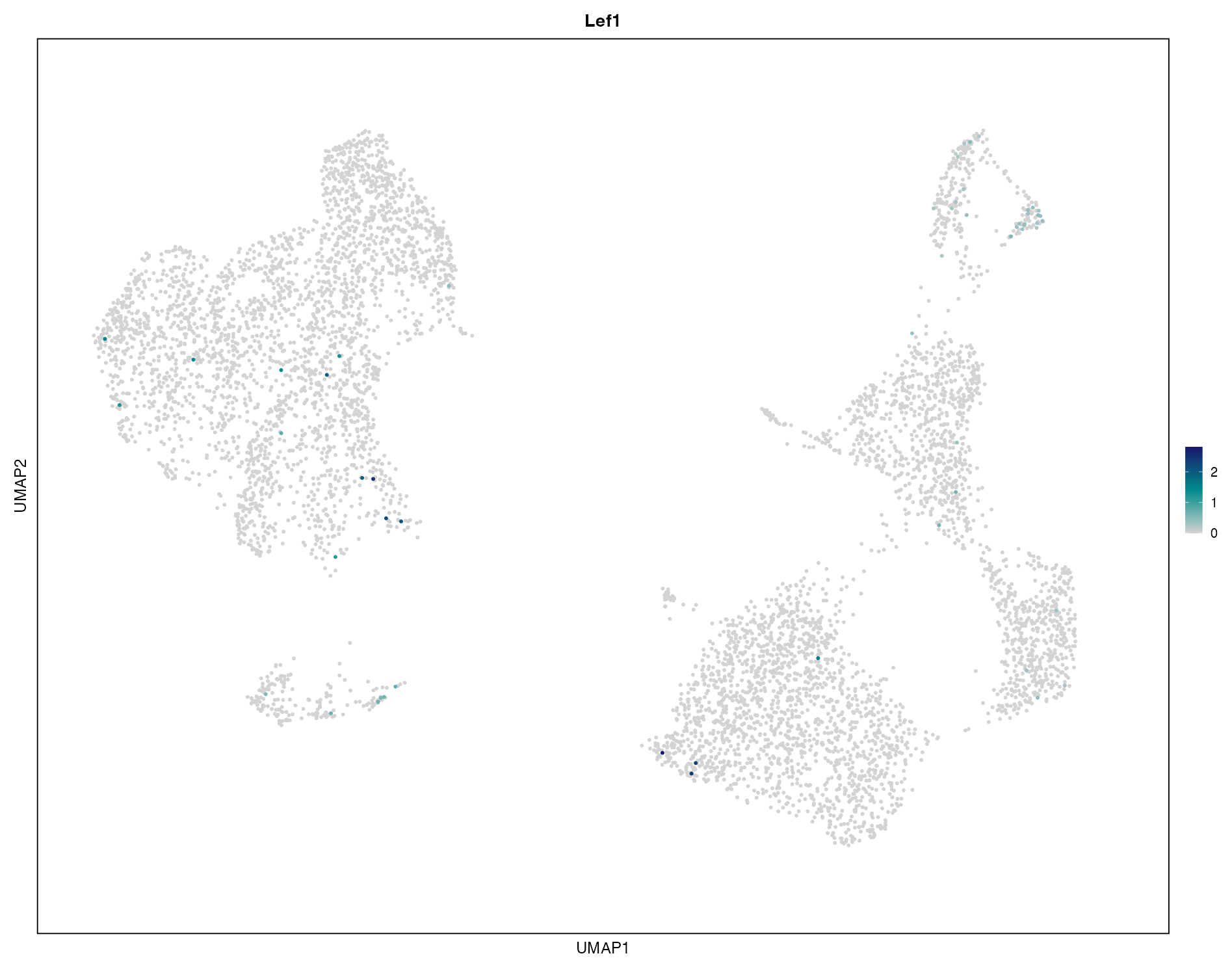 UMAP expression plot of LEF1