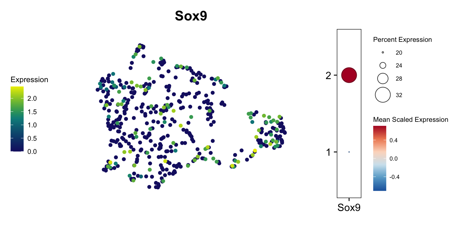 UMAP expression plot of SOX9