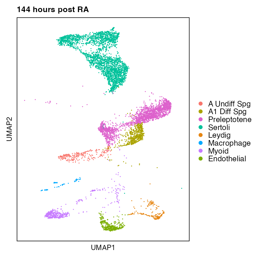 Synchronized Stage VIII dataset