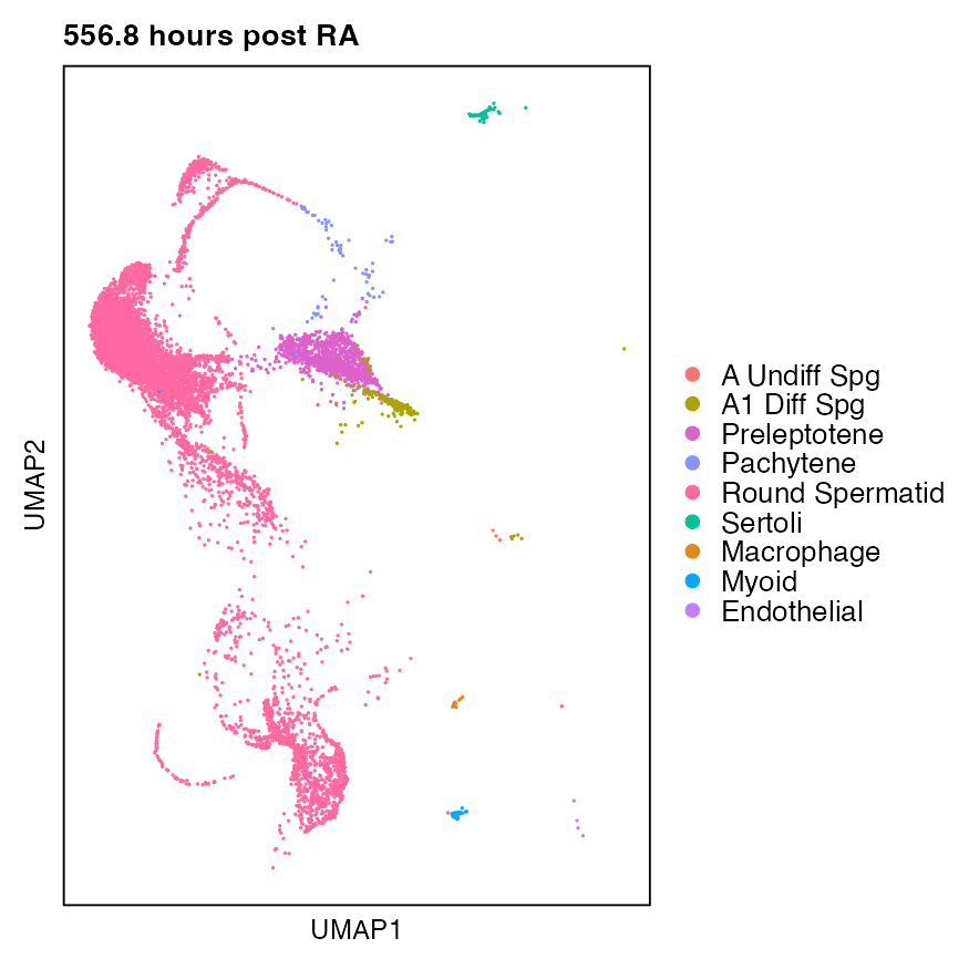 Synchronized Stage VIII dataset