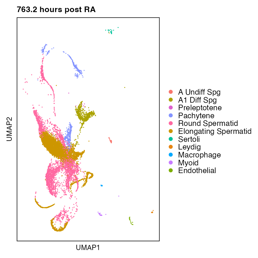 Synchronized Stage VIII dataset