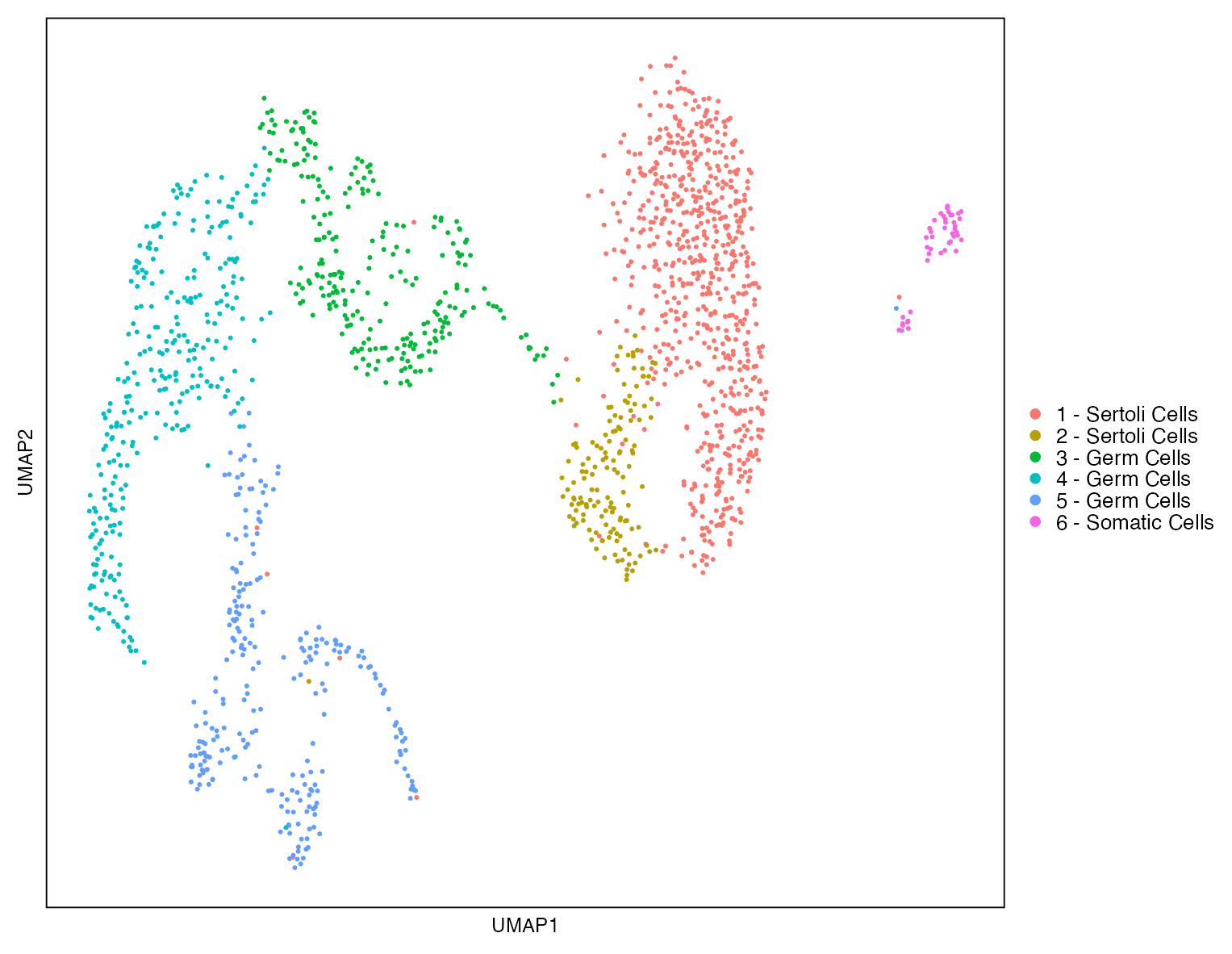 Sertoli cluster identification