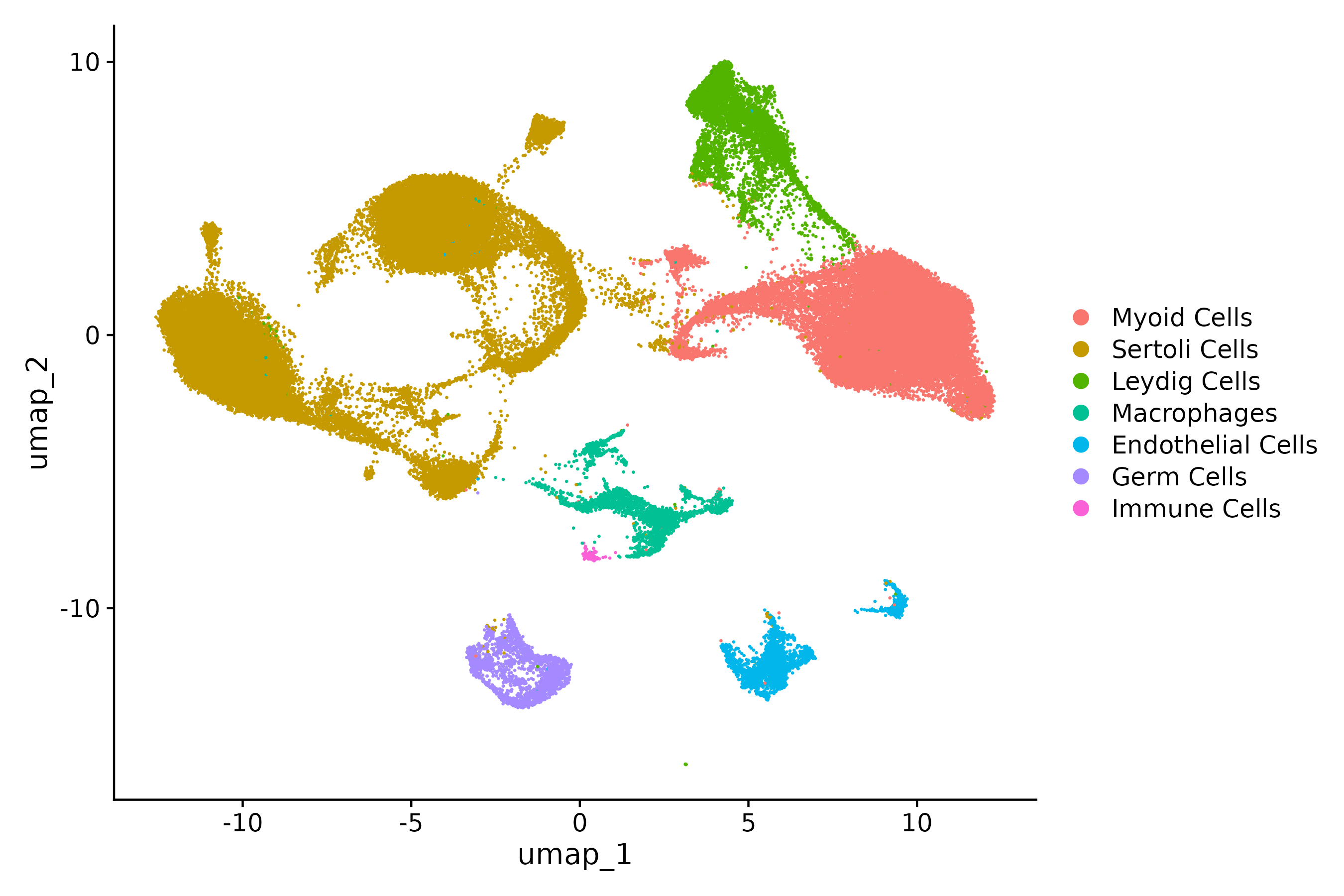 porcine_agg celltype umap