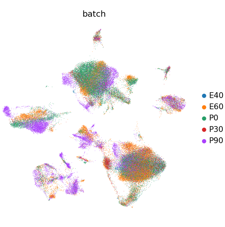 porcine_agg dataset